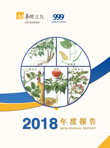 尊龙时凯：2018年年度报告