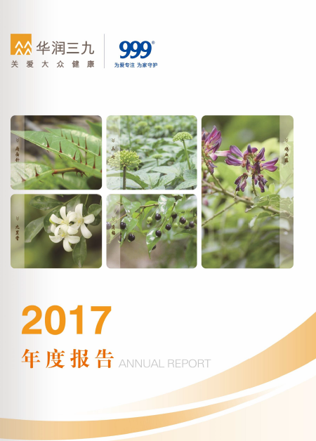尊龙时凯：2017年年度报告